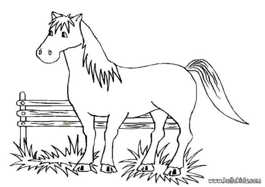 着色页: 马 (动物) #2269 - 免费可打印着色页