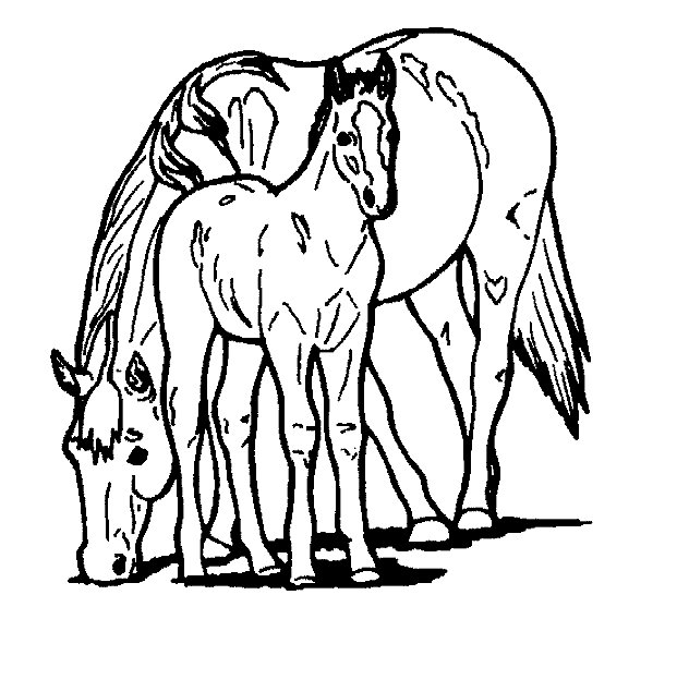 着色页: 马 (动物) #2275 - 免费可打印着色页