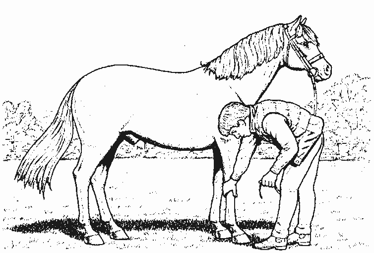 着色页: 马 (动物) #2287 - 免费可打印着色页