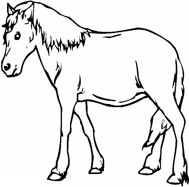 着色页: 马 (动物) #2299 - 免费可打印着色页