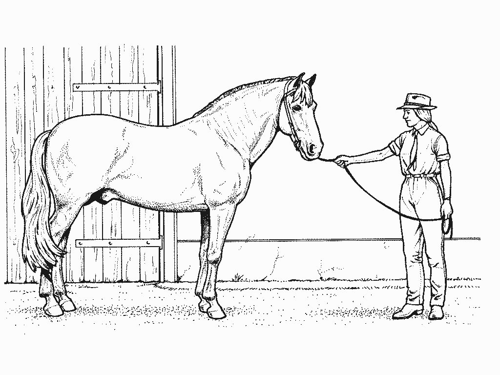 着色页: 马 (动物) #2308 - 免费可打印着色页