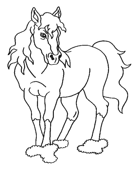 着色页: 马 (动物) #2318 - 免费可打印着色页