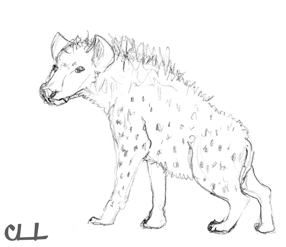 着色页: 鬣狗 (动物) #19665 - 免费可打印着色页