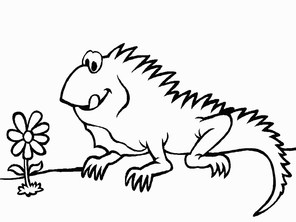 着色页: 鬣蜥 (动物) #8911 - 免费可打印着色页