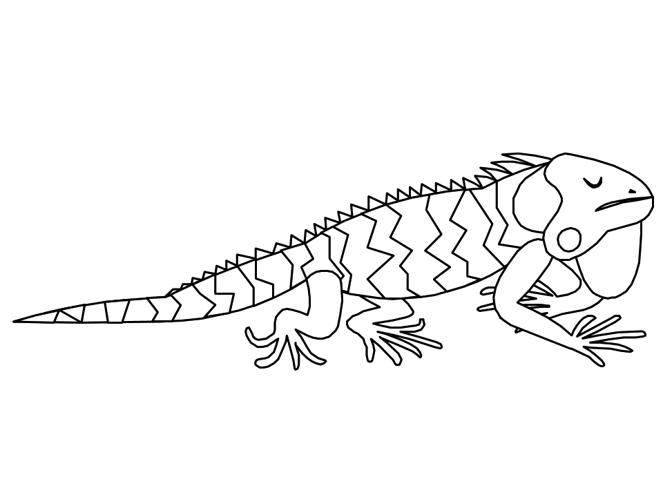 着色页: 鬣蜥 (动物) #8914 - 免费可打印着色页