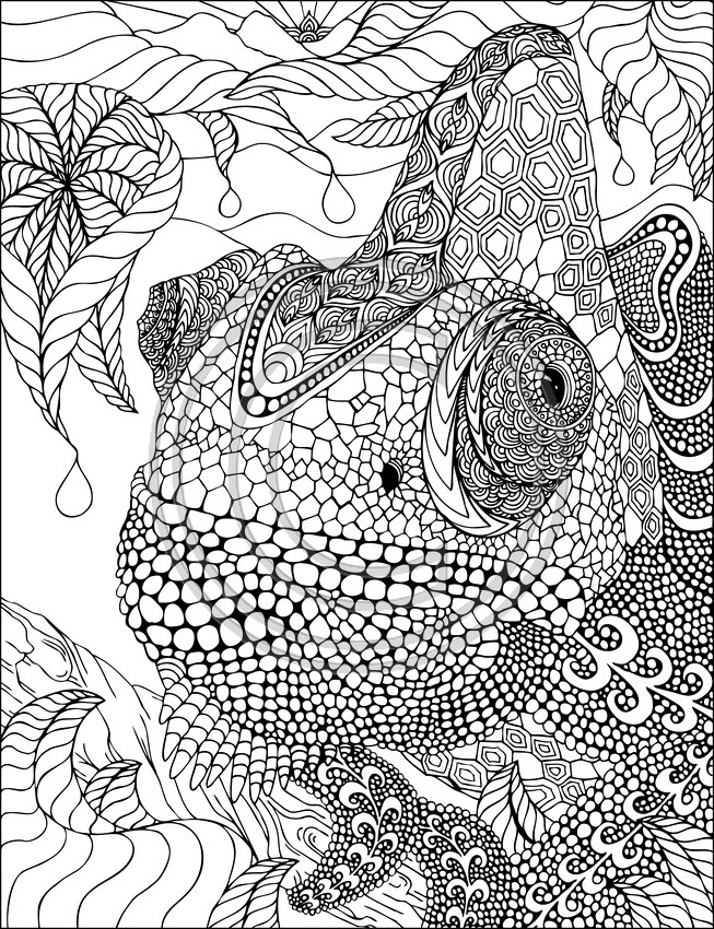 着色页: 鬣蜥 (动物) #8923 - 免费可打印着色页