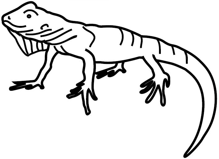 着色页: 鬣蜥 (动物) #8944 - 免费可打印着色页