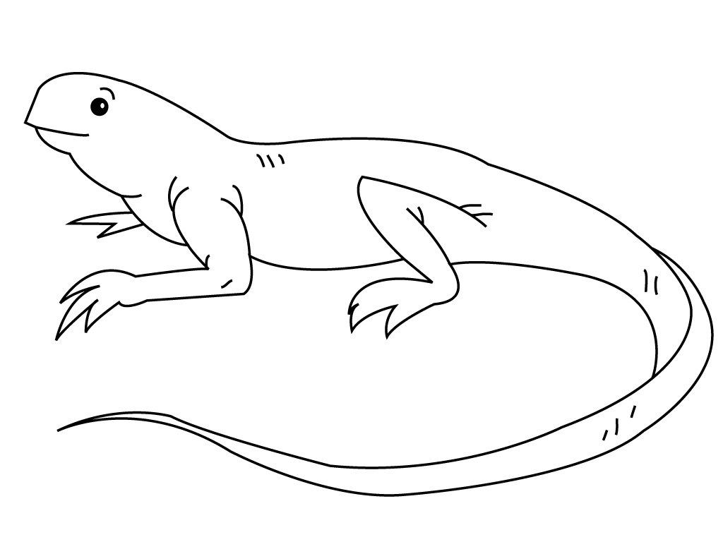 着色页: 鬣蜥 (动物) #8951 - 免费可打印着色页