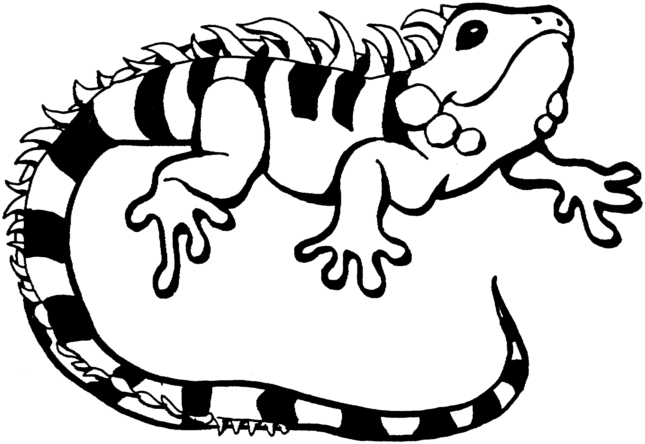 着色页: 鬣蜥 (动物) #8959 - 免费可打印着色页