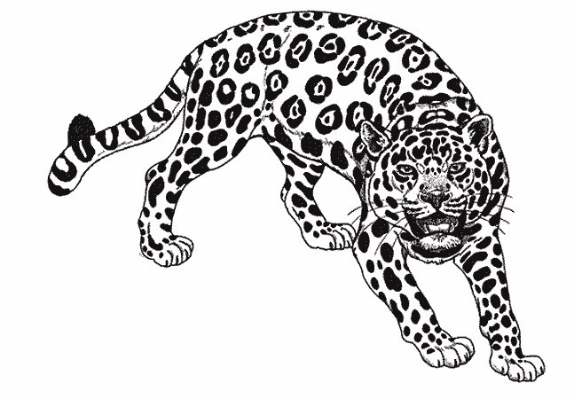 着色页: 捷豹 (动物) #9001 - 免费可打印着色页