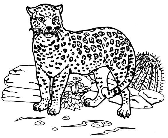 着色页: 捷豹 (动物) #9005 - 免费可打印着色页
