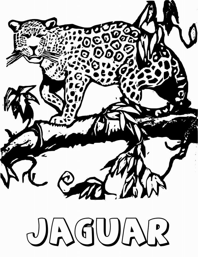 着色页: 捷豹 (动物) #9008 - 免费可打印着色页