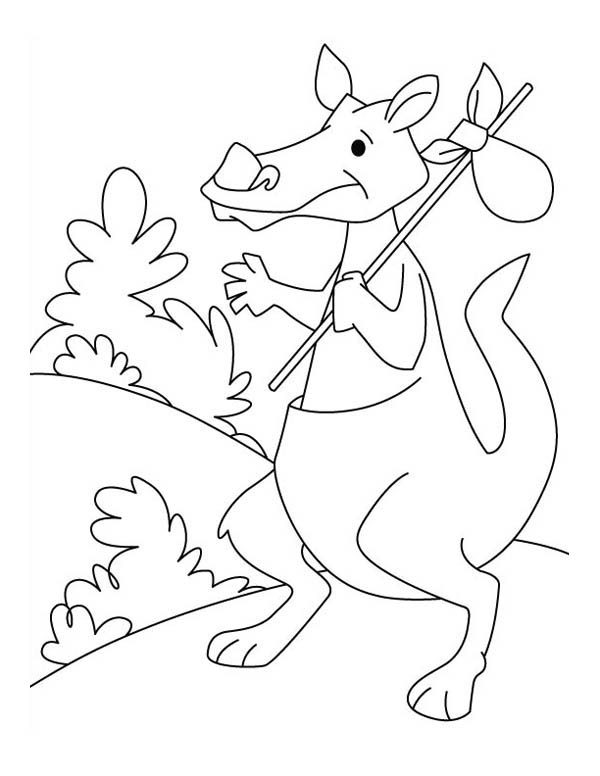 着色页: 袋鼠 (动物) #9252 - 免费可打印着色页