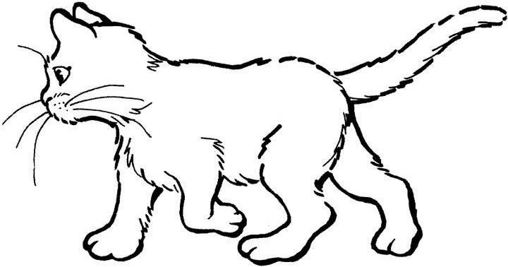着色页: 小猫 (动物) #18053 - 免费可打印着色页