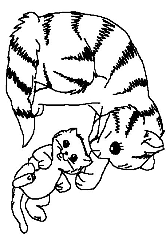 着色页: 小猫 (动物) #18065 - 免费可打印着色页