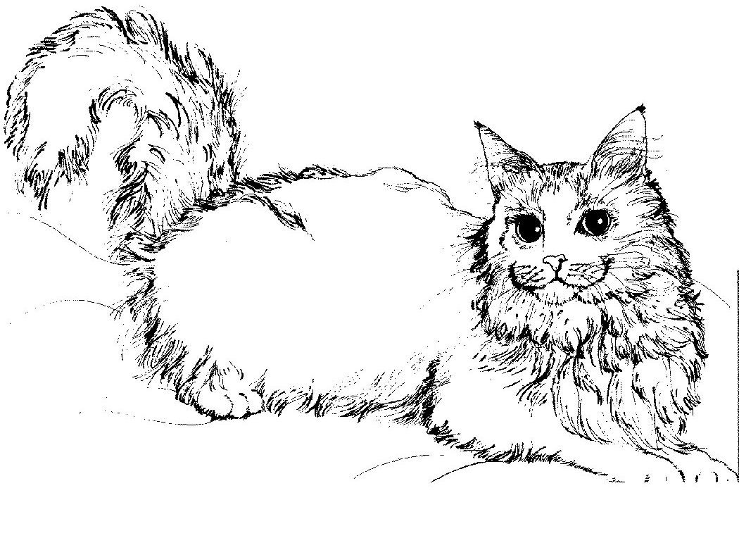着色页: 小猫 (动物) #18097 - 免费可打印着色页