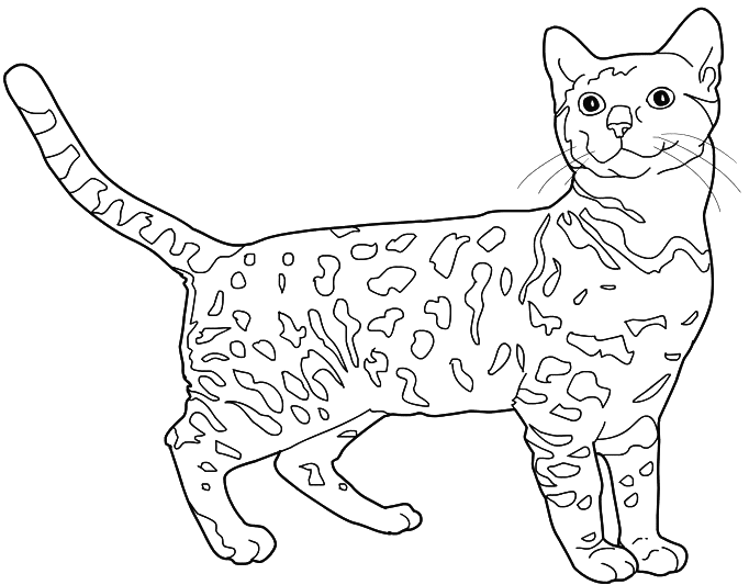着色页: 小猫 (动物) #18101 - 免费可打印着色页