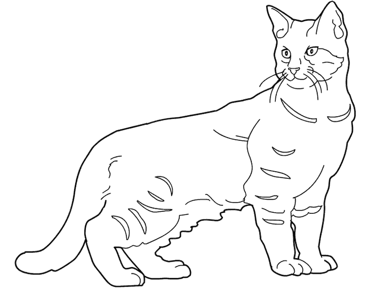 着色页: 小猫 (动物) #18108 - 免费可打印着色页