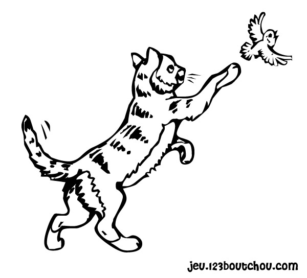 着色页: 小猫 (动物) #18114 - 免费可打印着色页