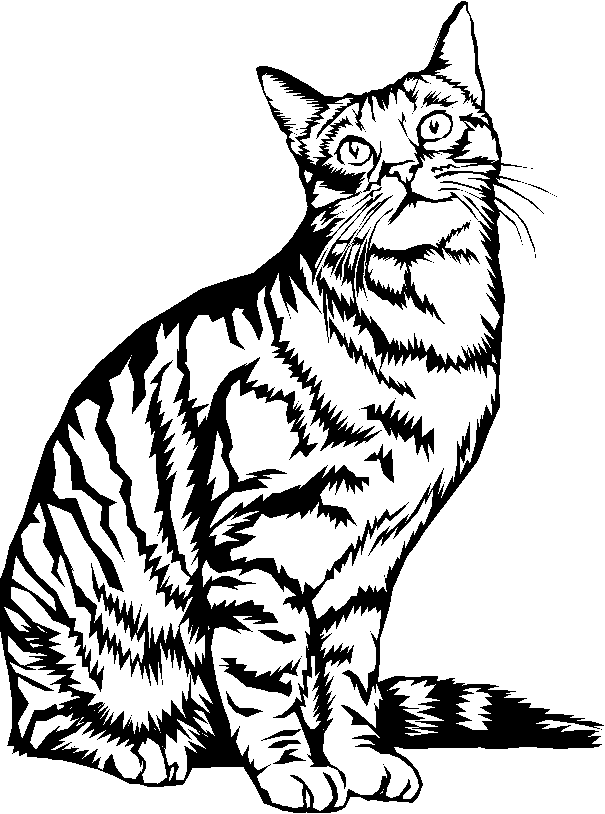着色页: 小猫 (动物) #18148 - 免费可打印着色页