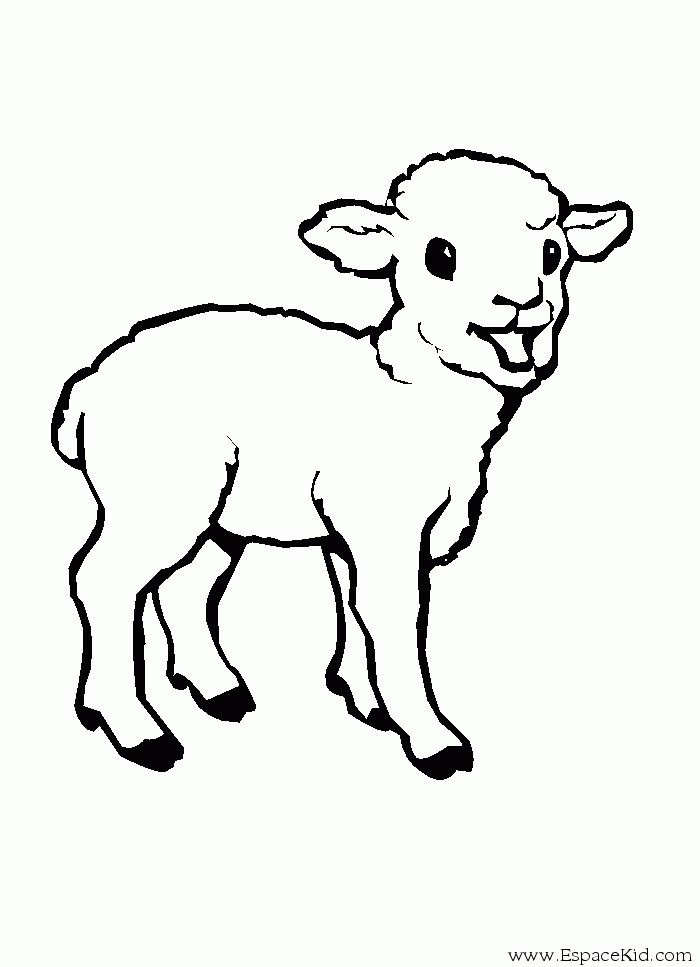 着色页: 羊肉 (动物) #175 - 免费可打印着色页
