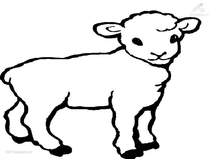 着色页: 羊肉 (动物) #177 - 免费可打印着色页