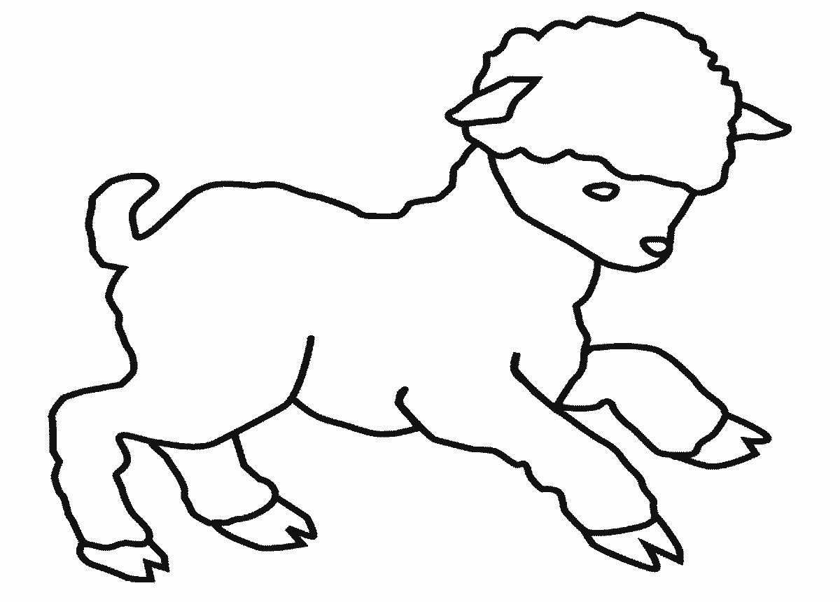 着色页: 羊肉 (动物) #182 - 免费可打印着色页