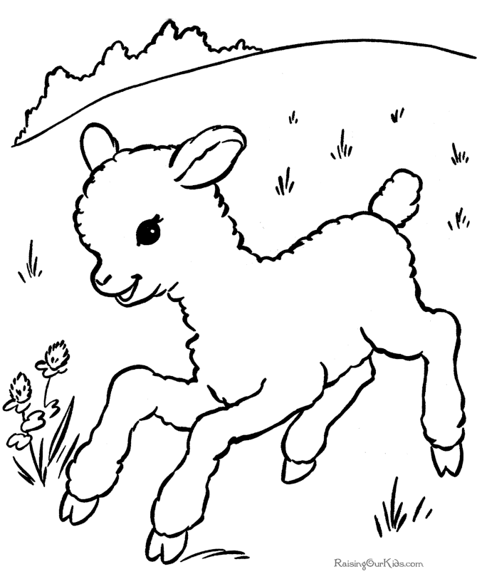 着色页: 羊肉 (动物) #190 - 免费可打印着色页
