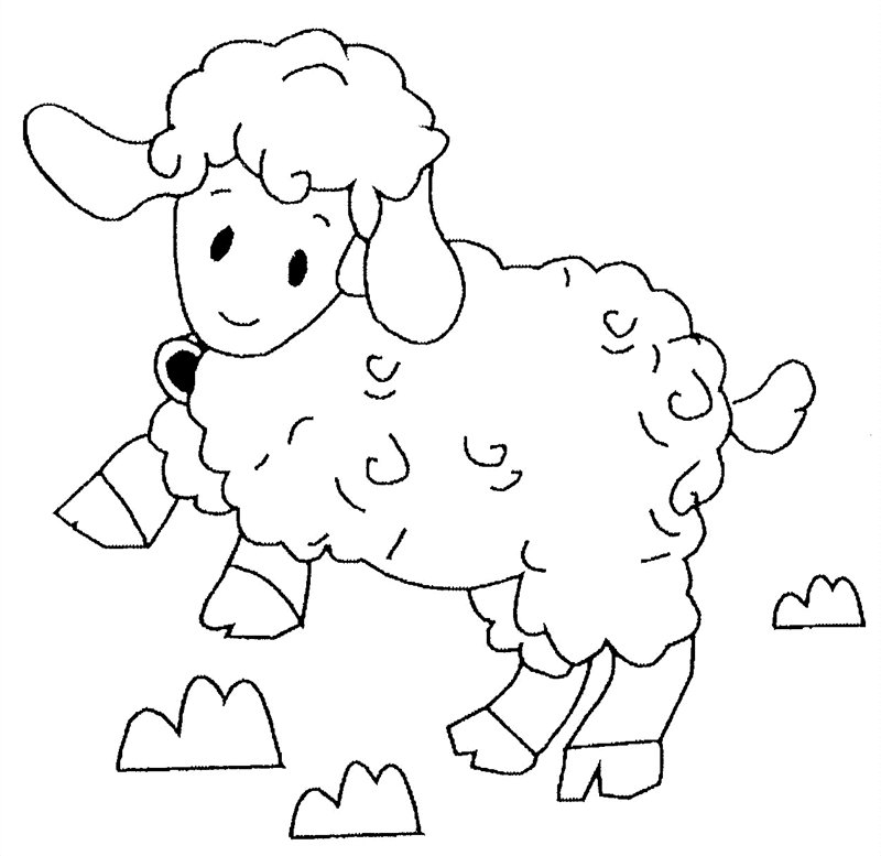 着色页: 羊肉 (动物) #191 - 免费可打印着色页