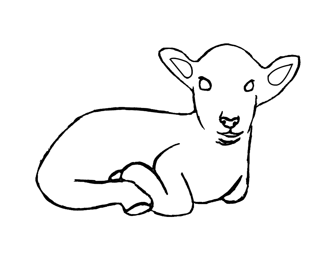 着色页: 羊肉 (动物) #204 - 免费可打印着色页