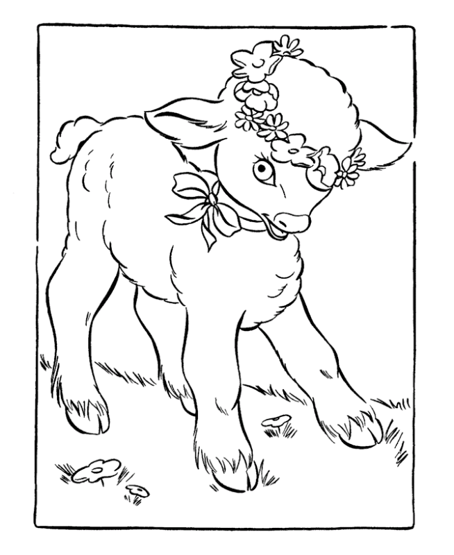 着色页: 羊肉 (动物) #206 - 免费可打印着色页