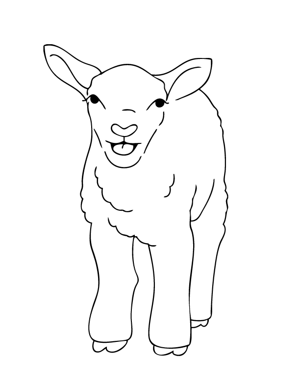 着色页: 羊肉 (动物) #216 - 免费可打印着色页