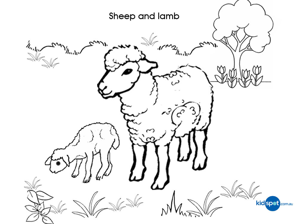 着色页: 羊肉 (动物) #225 - 免费可打印着色页