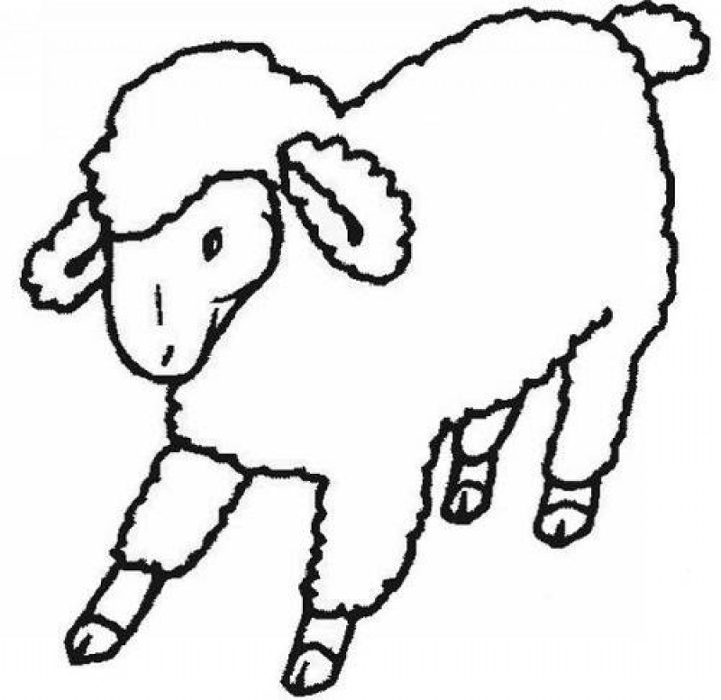 着色页: 羊肉 (动物) #233 - 免费可打印着色页