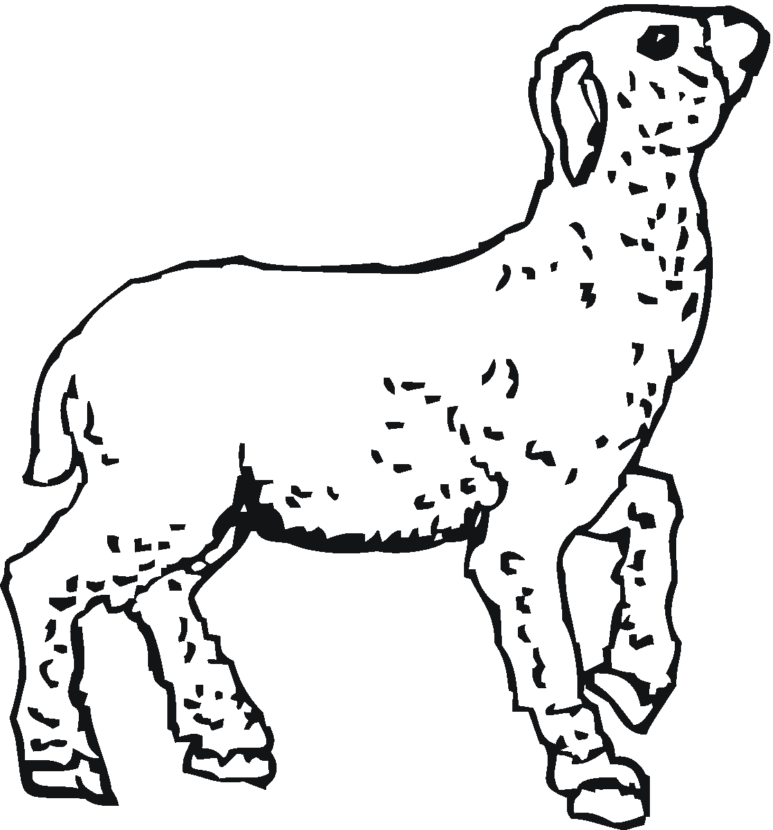 着色页: 羊肉 (动物) #250 - 免费可打印着色页