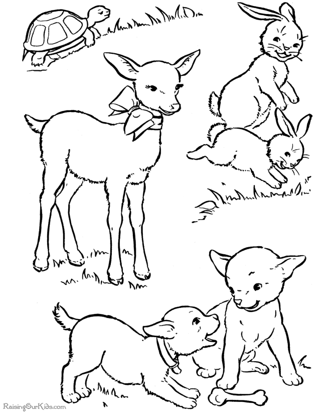 着色页: 羊肉 (动物) #262 - 免费可打印着色页