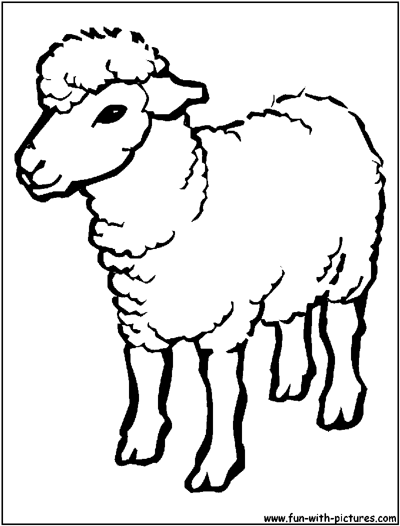 着色页: 羊肉 (动物) #272 - 免费可打印着色页