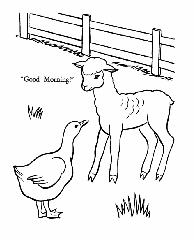 着色页: 羊肉 (动物) #273 - 免费可打印着色页