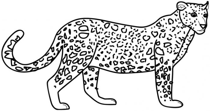 着色页: 豹 (动物) #9710 - 免费可打印着色页
