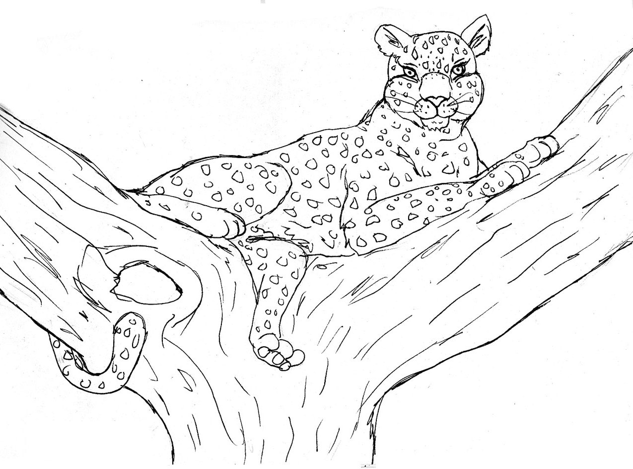 着色页: 豹 (动物) #9722 - 免费可打印着色页