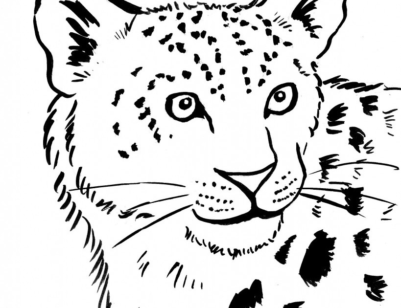 着色页: 豹 (动物) #9759 - 免费可打印着色页