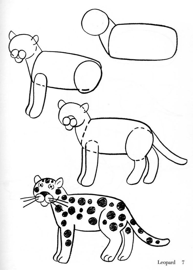 着色页: 豹 (动物) #9779 - 免费可打印着色页