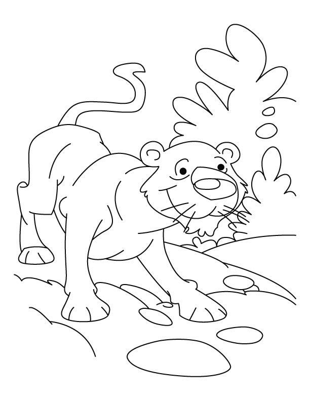 着色页: 豹 (动物) #9786 - 免费可打印着色页