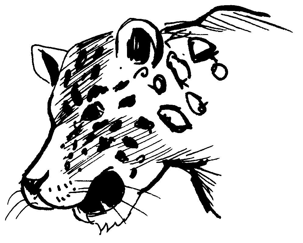着色页: 豹 (动物) #9807 - 免费可打印着色页