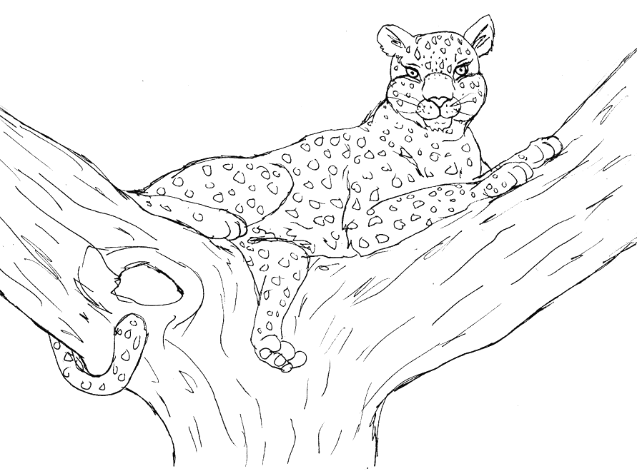 着色页: 豹 (动物) #9810 - 免费可打印着色页