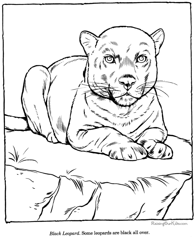 着色页: 豹 (动物) #9822 - 免费可打印着色页