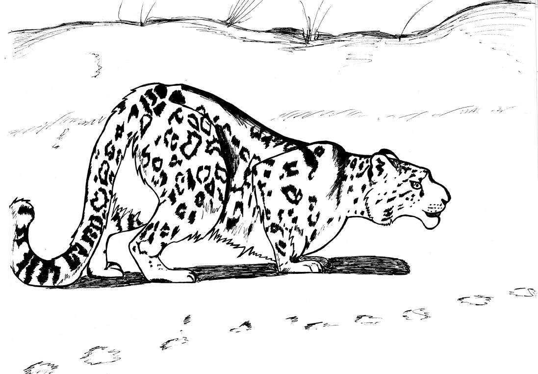 着色页: 豹 (动物) #9836 - 免费可打印着色页