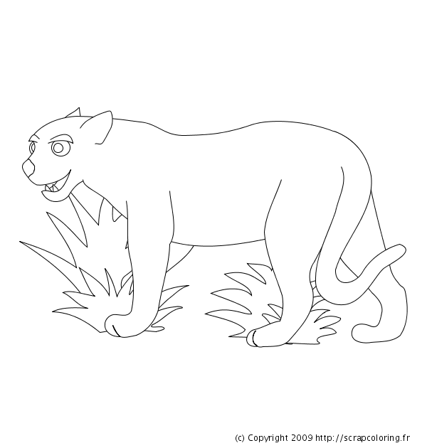 着色页: 豹 (动物) #9841 - 免费可打印着色页