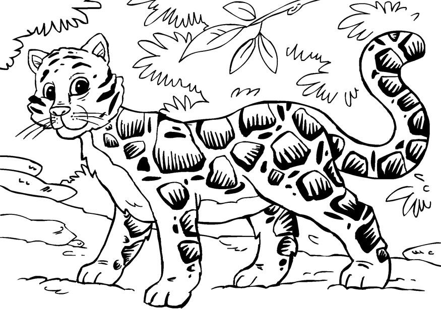 着色页: 豹 (动物) #9849 - 免费可打印着色页