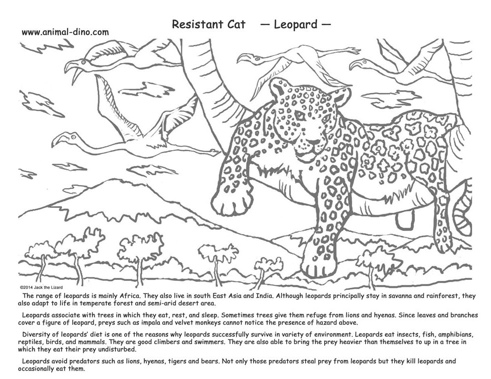 着色页: 豹 (动物) #9858 - 免费可打印着色页